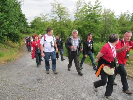 Pomlad v prleških goricah 2013 21